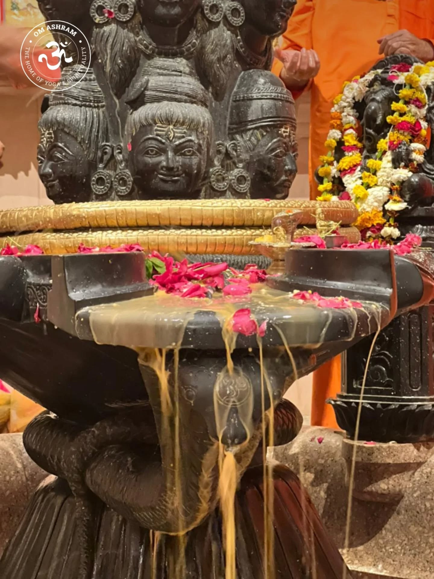 631448328 17973855621001141 7741431963483478041 n