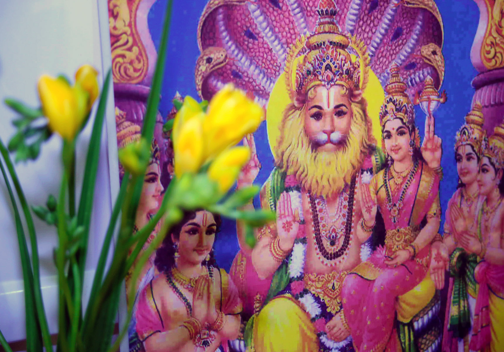 Vishwaguruji's blessings on the occasion of Holi 